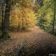 20231104-Aywalle69